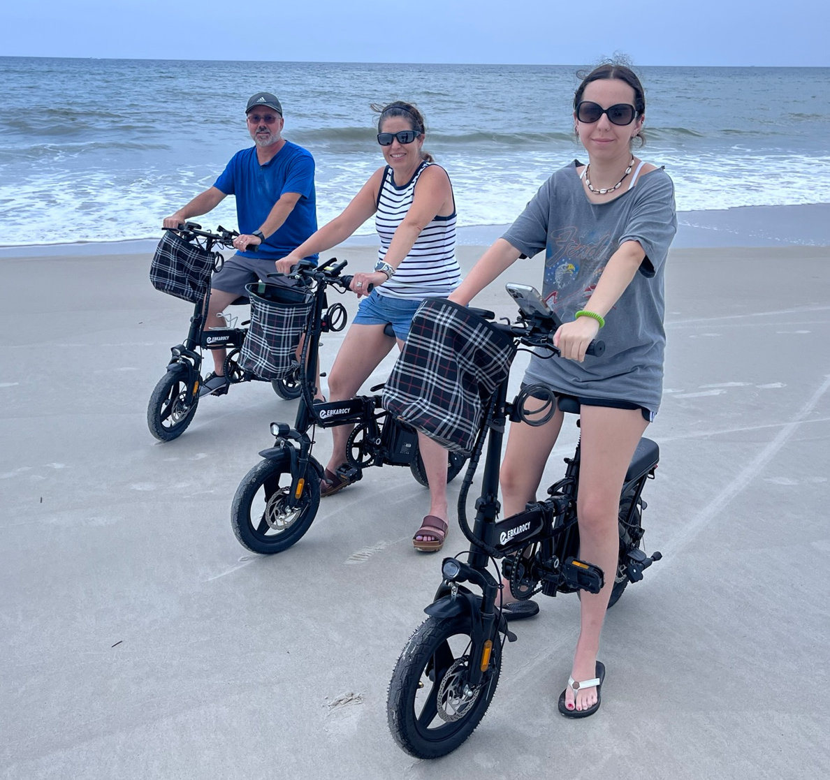 Folding Electric Bike