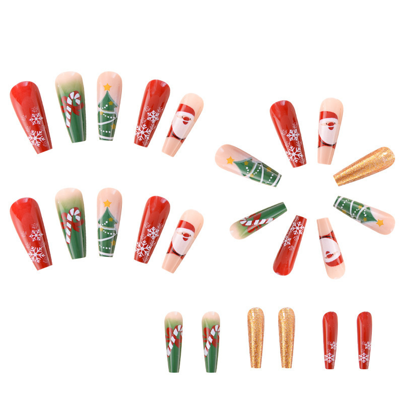 Christmas Nail Art Nail Set