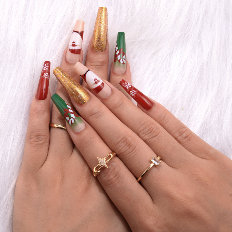 Christmas Nail Art Nail Set