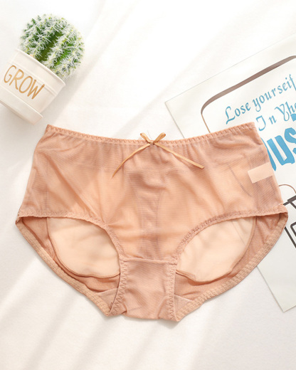 ChicCurve Sexy Butt-Lifting Mesh Panties