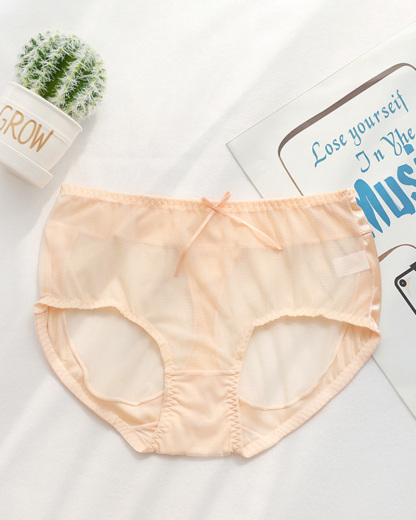 ChicCurve Sexy Butt-Lifting Mesh Panties