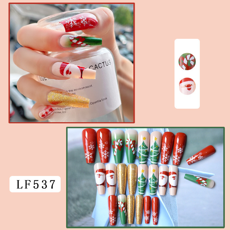 Christmas Nail Art Nail Set