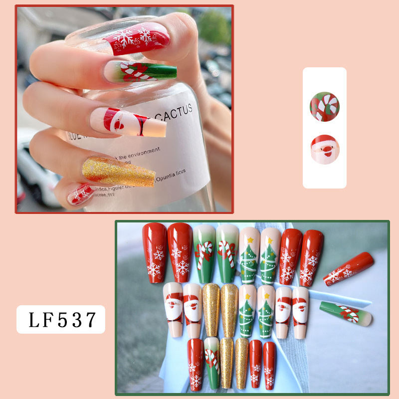 Christmas Nail Art Nail Set