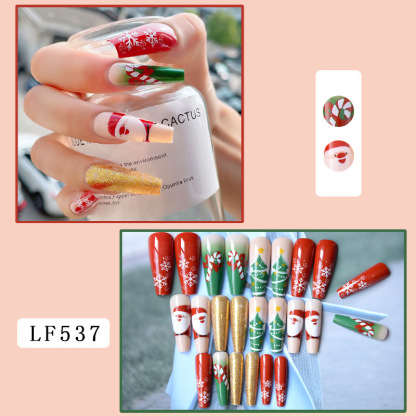 Christmas Nail Art Nail Set