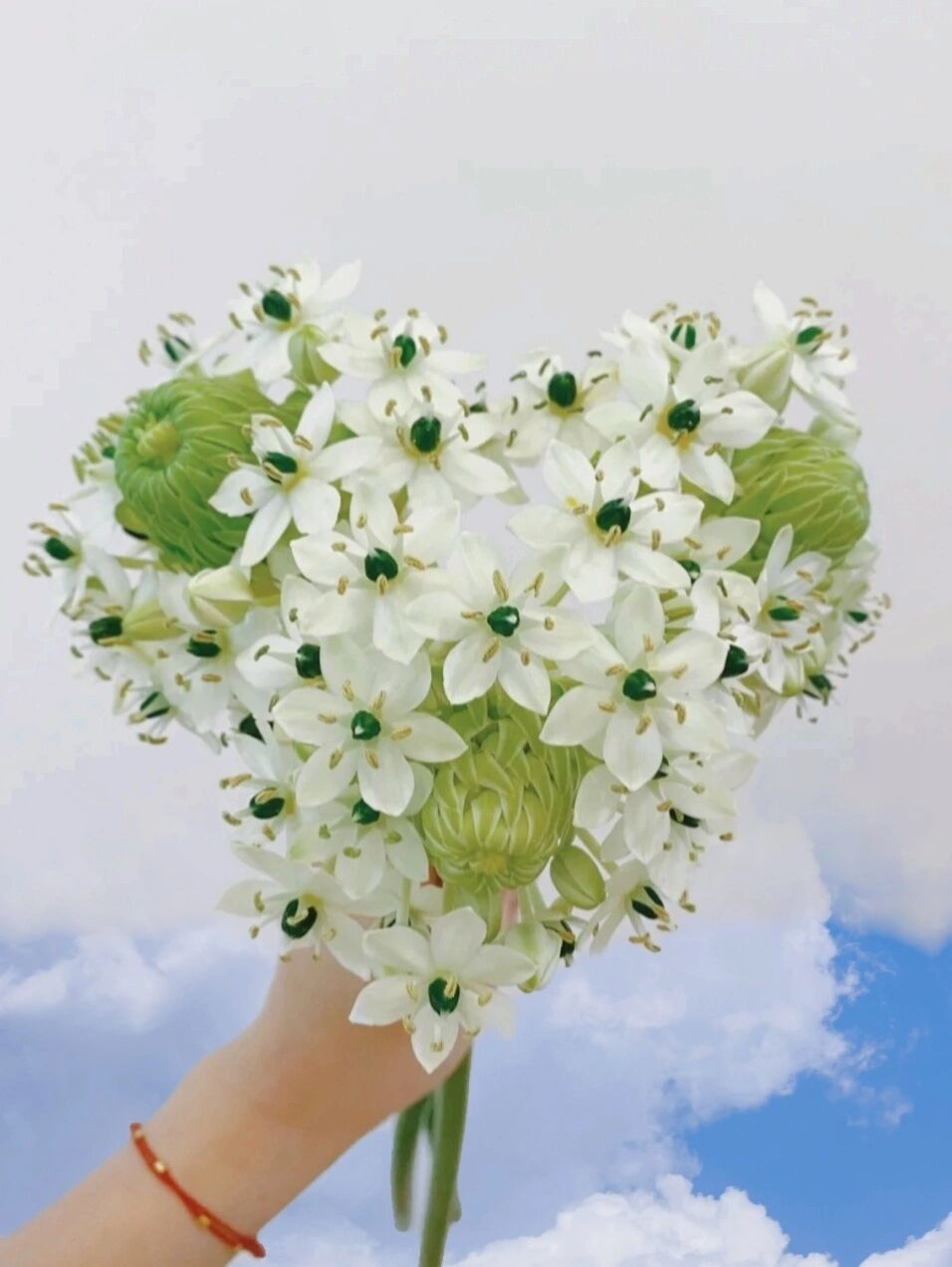 Star of Bethlehem