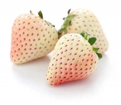 🍓White Strawberry Seeds
