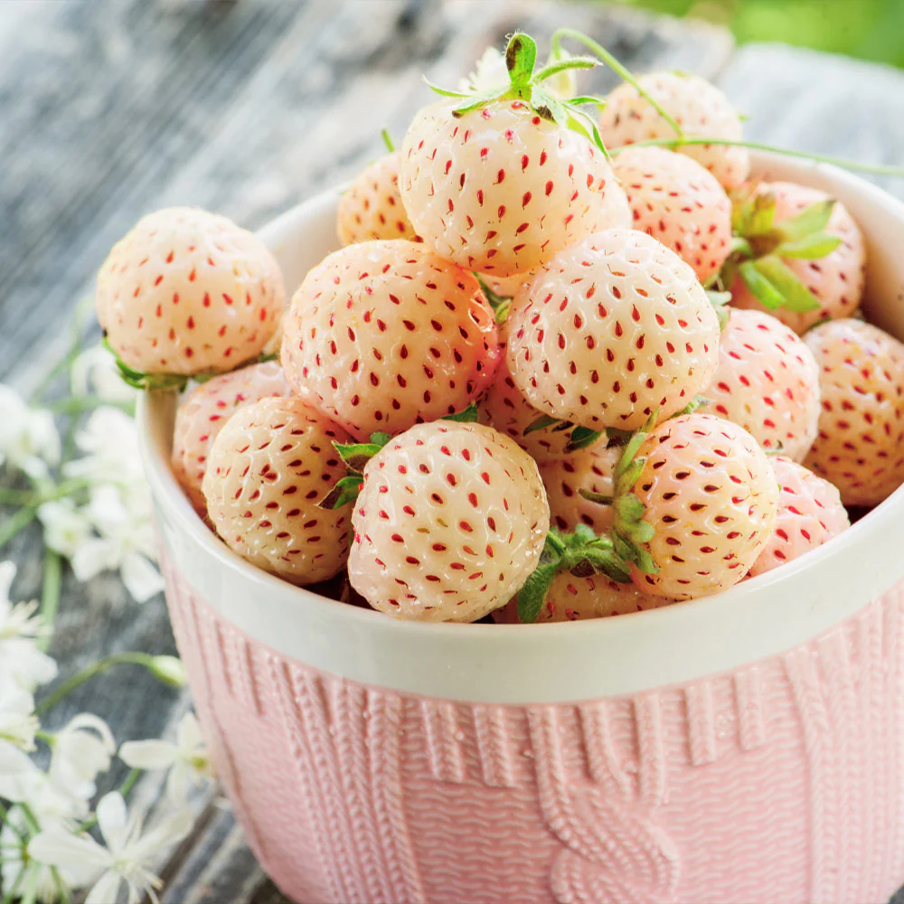 🍓White Strawberry Seeds