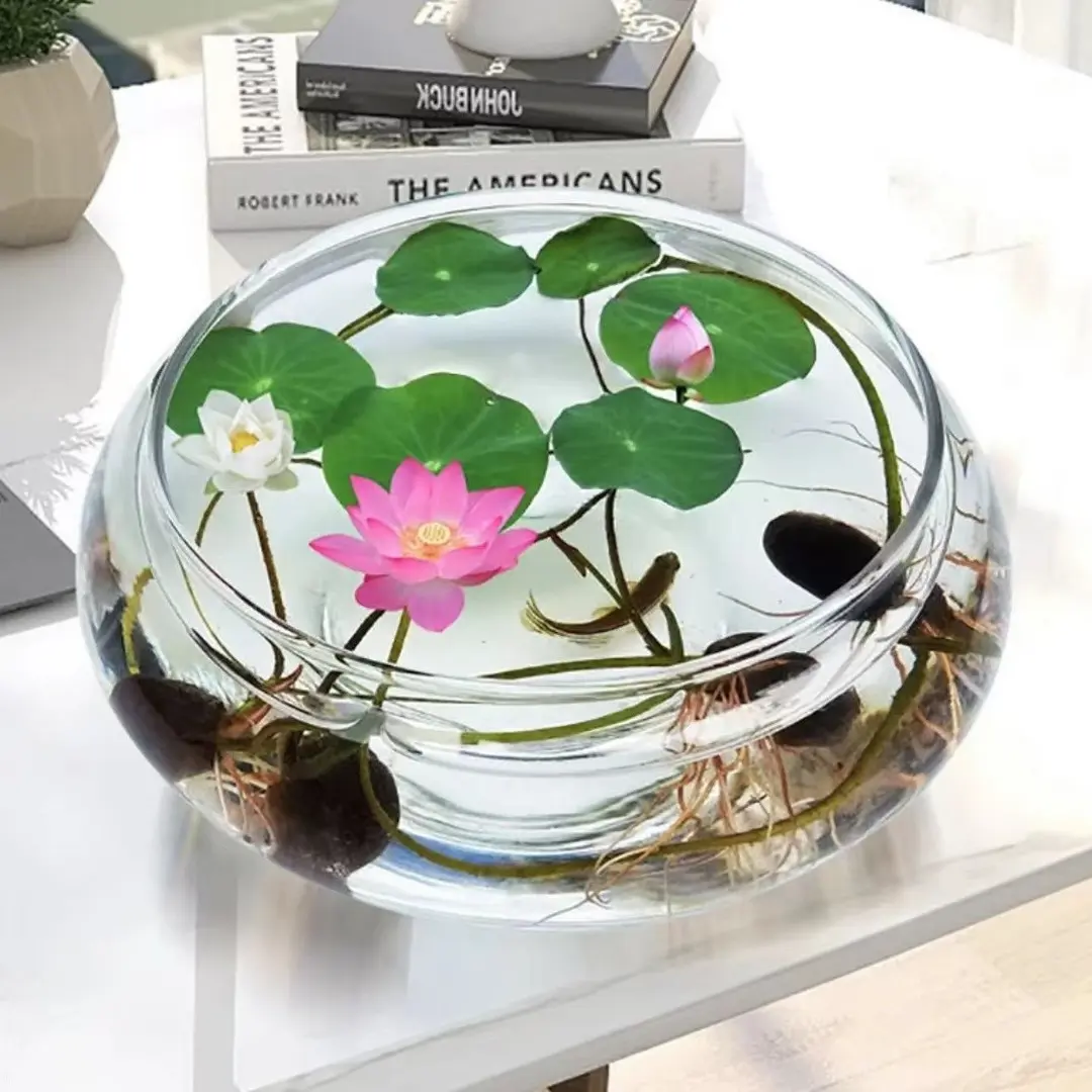 The Sacred Bonsai Lotus Flower