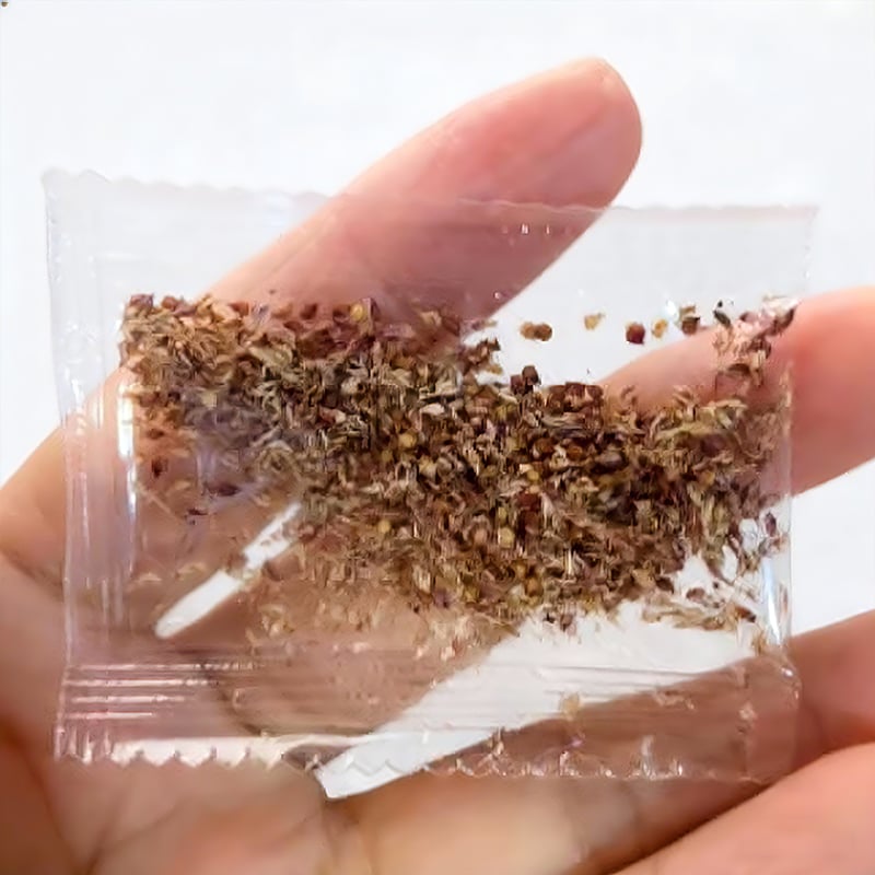 Mission Fig Tree Seeds