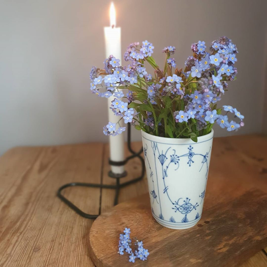 Alpine Forget Me Not Mixed Seeds - Myosotis alpestris - Biennial Flower Seeds - Organic Seeds