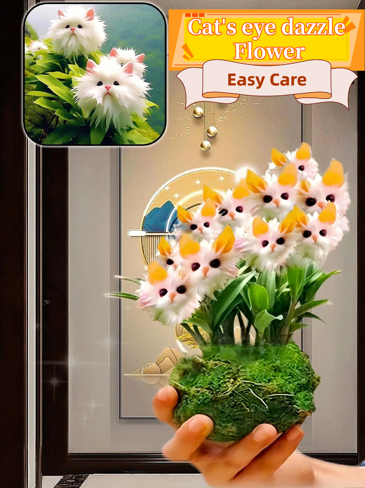 🔥Novel Plants! Dazzling Cat's Eye Seeds🔥2024 New Arrivals
