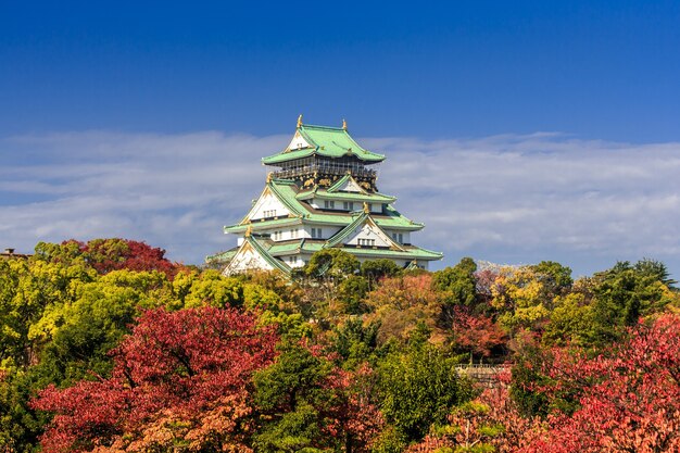 Photo du château d'Osaka en automne sous un beau ciel bleu