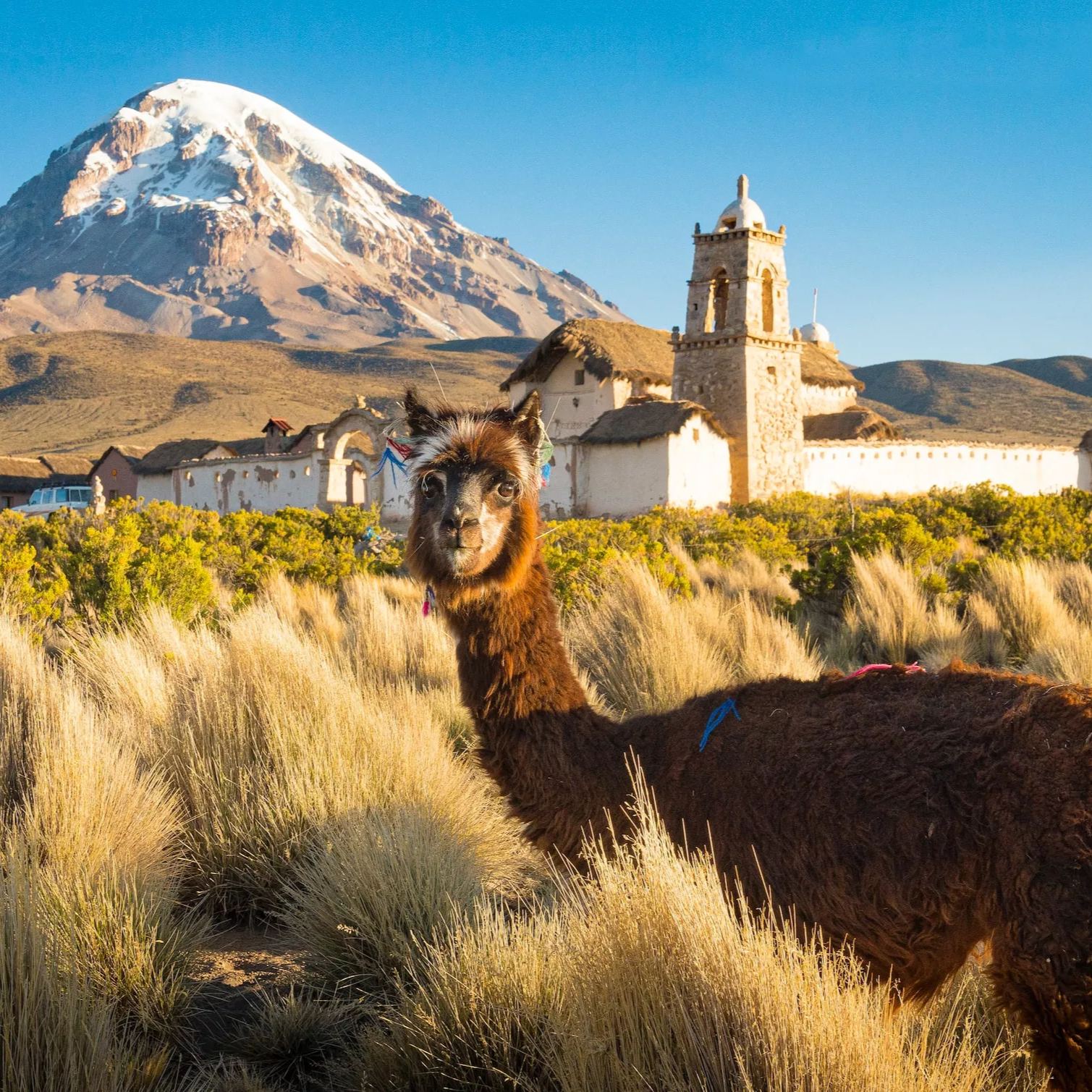 esim to travel Bolivia - Bytesim