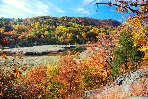 Free photo autumn mountain with lake