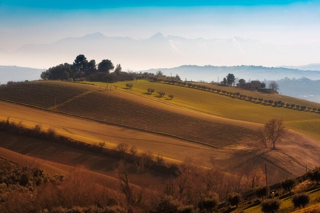 Photo agricultural fields and cultivated land on hills