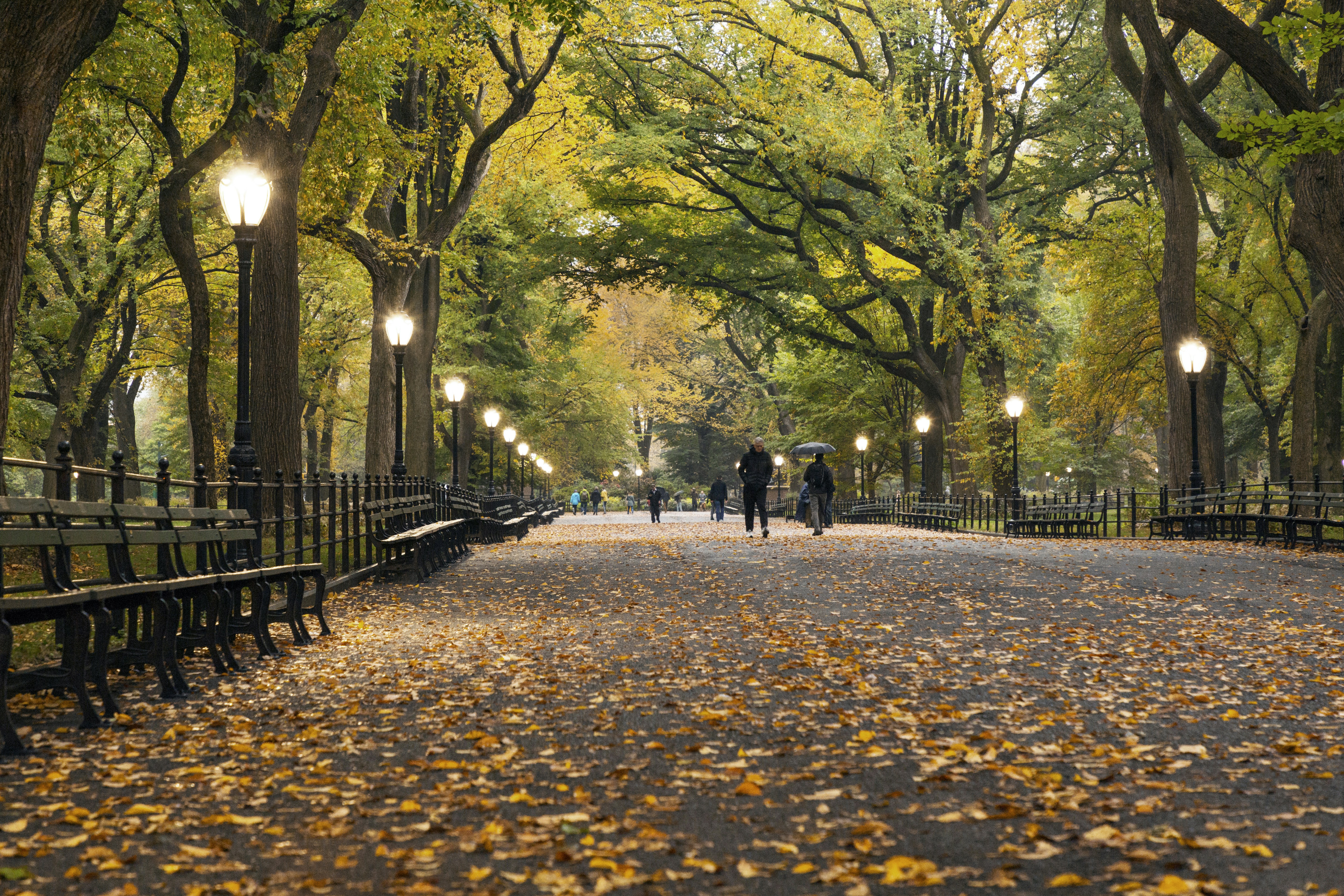 New York park