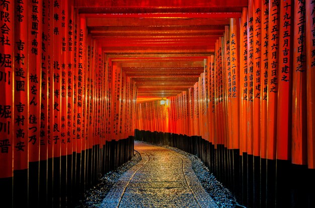 Photo gratuite des portes torii rouges sur le chemin au sanctuaire Fushimi Inari Taisha à Kyoto, Japon.