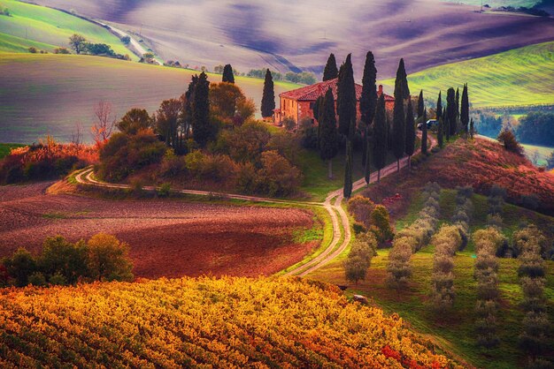 Photo beautiful golden sunrise in tuscany italy with vineyard natural idillyc seasonal autumn background