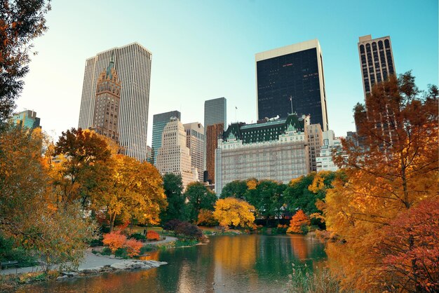 Free photo central park autumn and midtown skyline in manhattan new york city