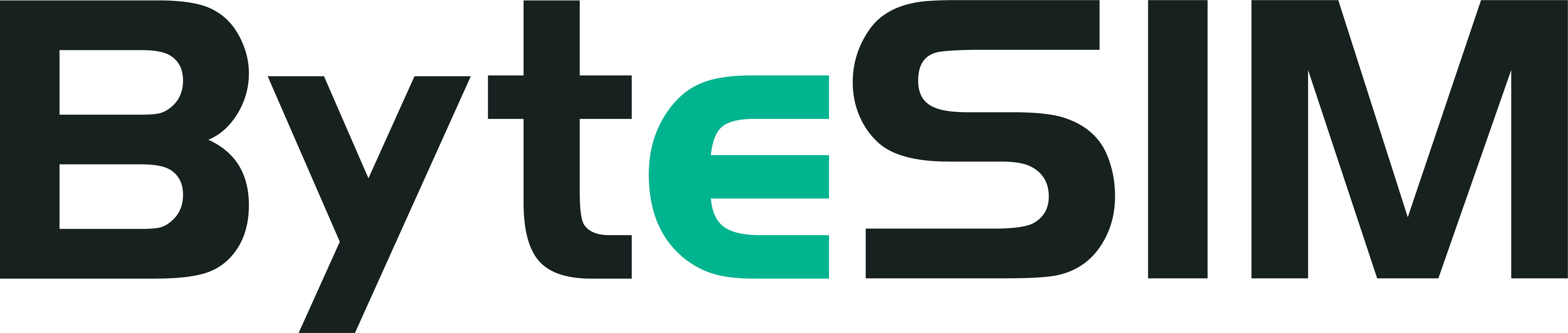 ByteSIM logo lockup, variant A