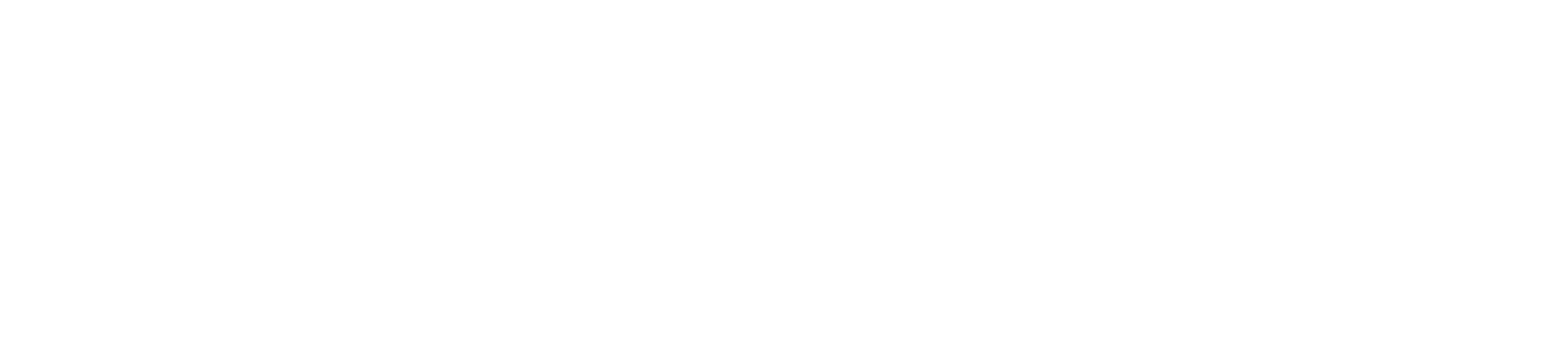 ByteSIM wordmark, variant A