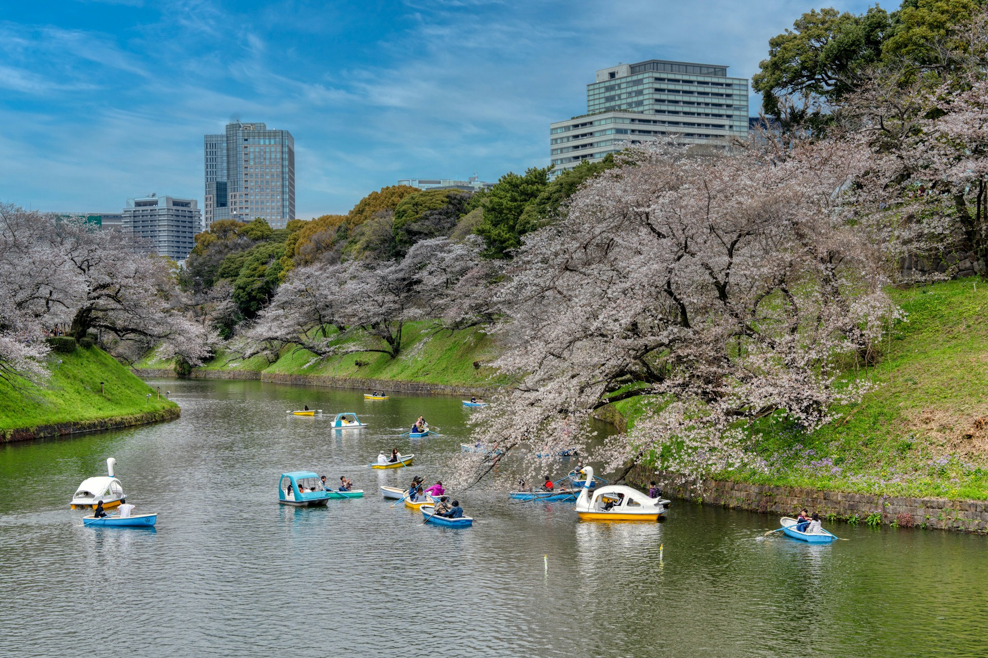 Chidorigafuchi Green Way Tokyo Boat Ride