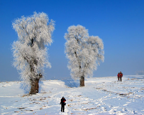 Photo, Image & Picture of Jilin Rime Ice Snow Festival Tour