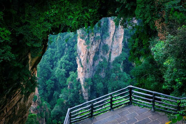 Photo zhangjiajie wulingyuan national scenic spot scenic area sandstone landform world natural heritage