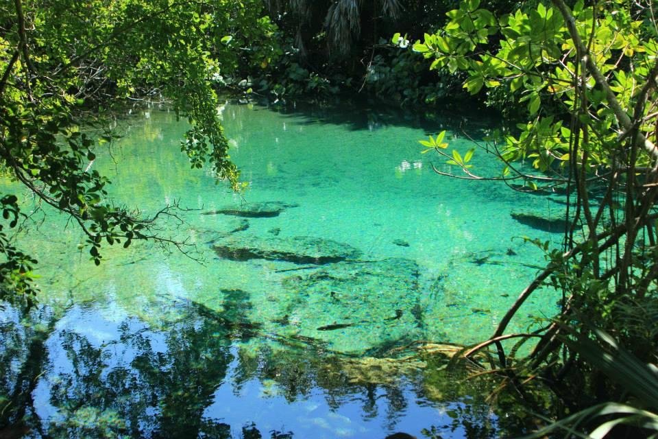 INDIGENOUS EYES ECOLOGICAL PARK (Punta Cana)