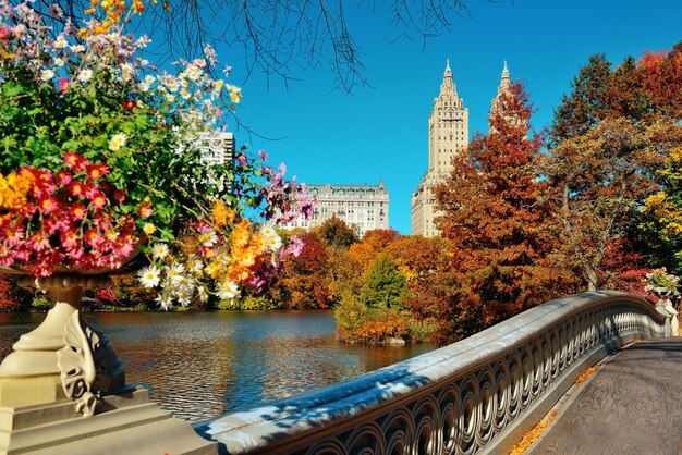 Free photo central park autumn and buildings in midtown manhattan new york city