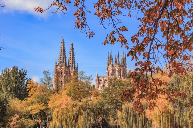 Photo gratuite cathédrale de Burgos entourée d'arbres dans la ville d'Espagne