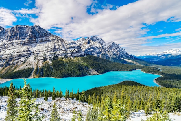 Photo peyto lake in banff national park, alberta, canada.