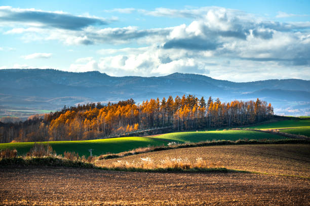 Furano