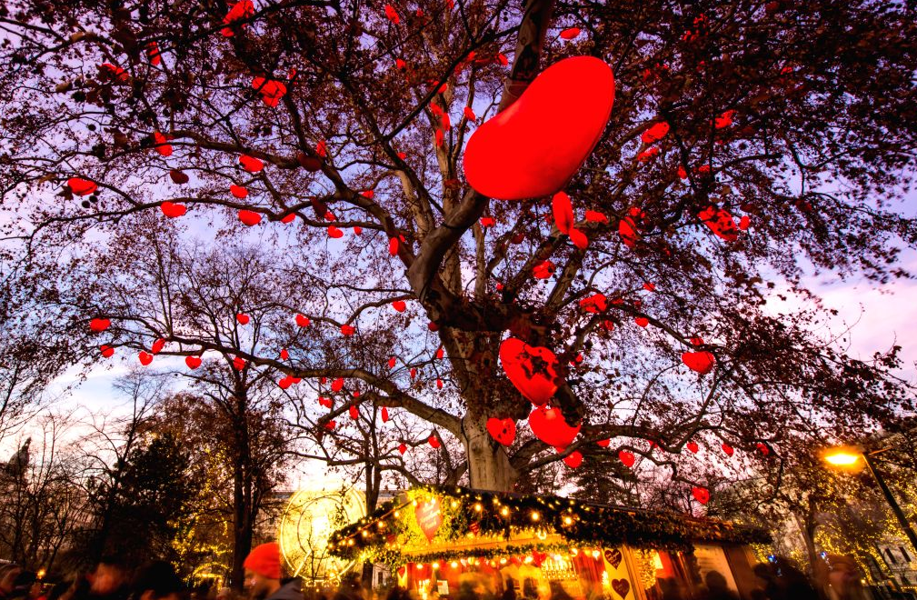 Vienna's magical Heart tree from Rathausplatz Christmas Market