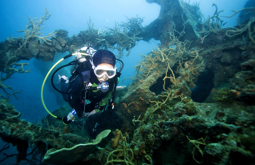 World-famous WWII Shipwrecks and haunting underwater cathedrals.