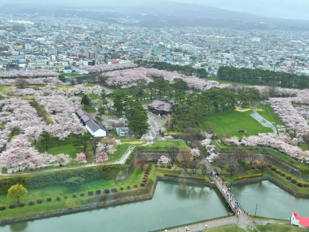 Goryokaku Fort Hakodate Star Shape Sakura