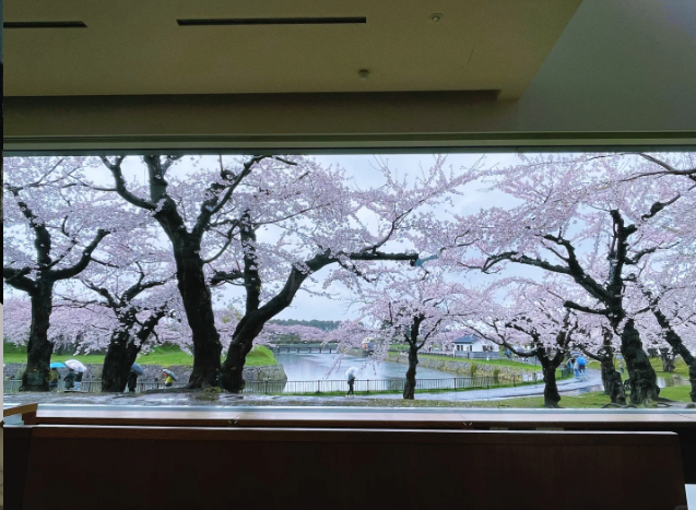 Hakodate Goryokaku Cherry Blossom Festival