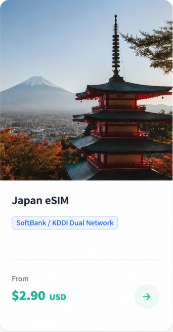 ByteSIM Japan eSIM