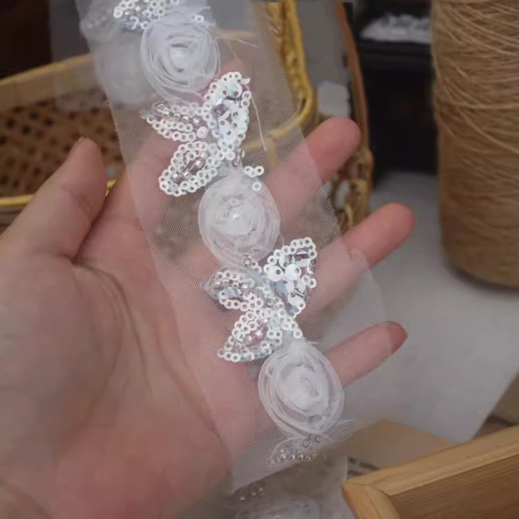 3D Mesh Fabric Beaded Lace Trim BT0145