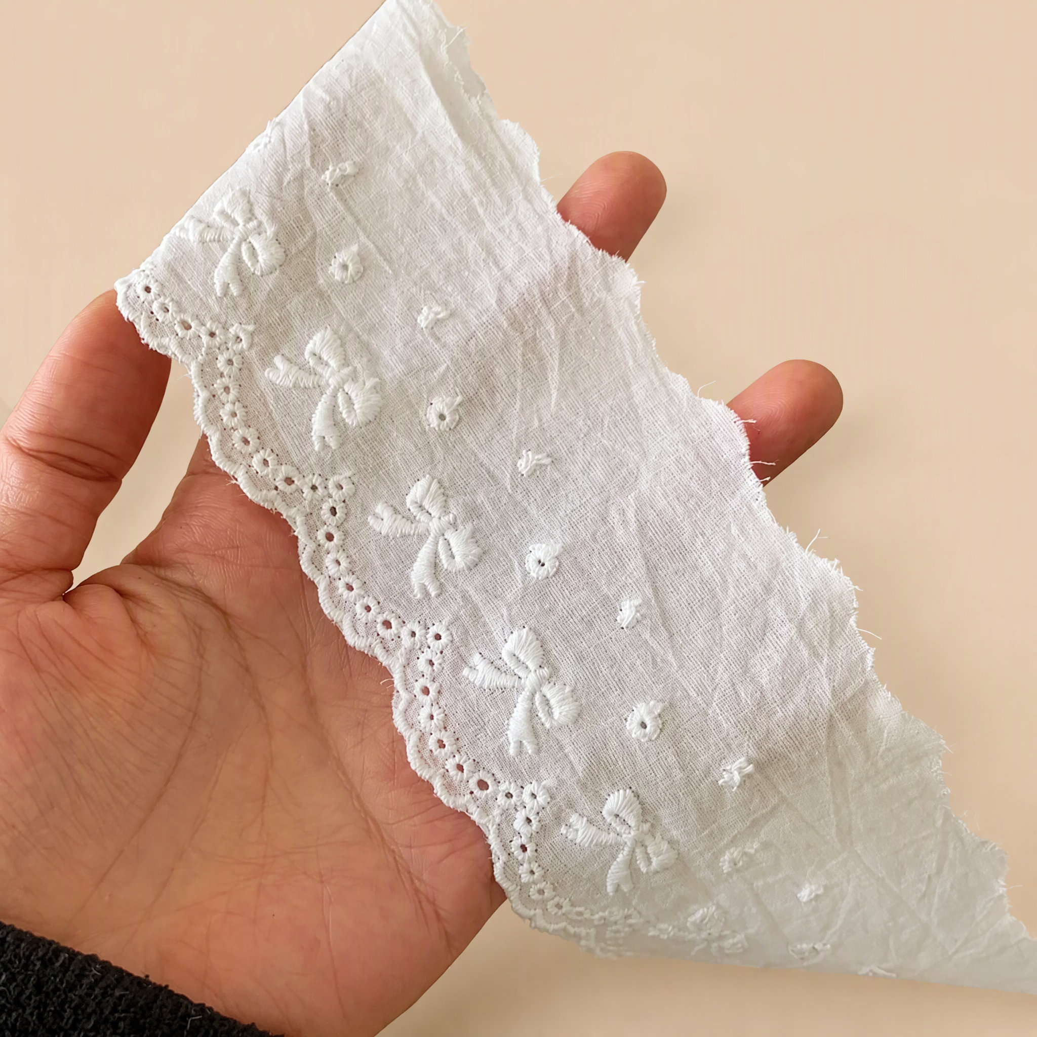 1 Meter Floral Eyelet Embroidered Lace Trim for Dress Hems Width 6-7 cm EF0080