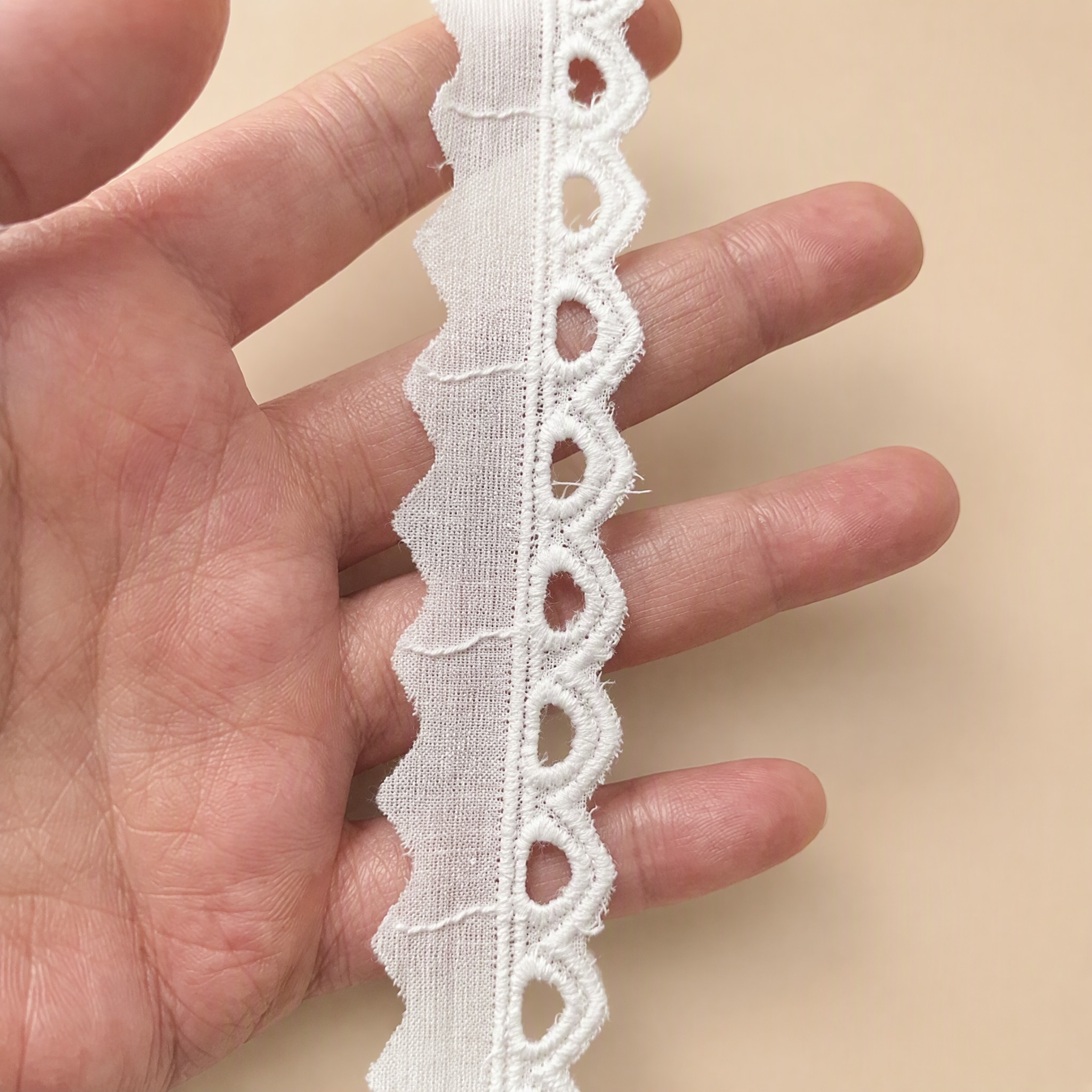 1 Meter Eyelet Embroidery Lace Trim for Sewing Width 2-3 cm EF0099