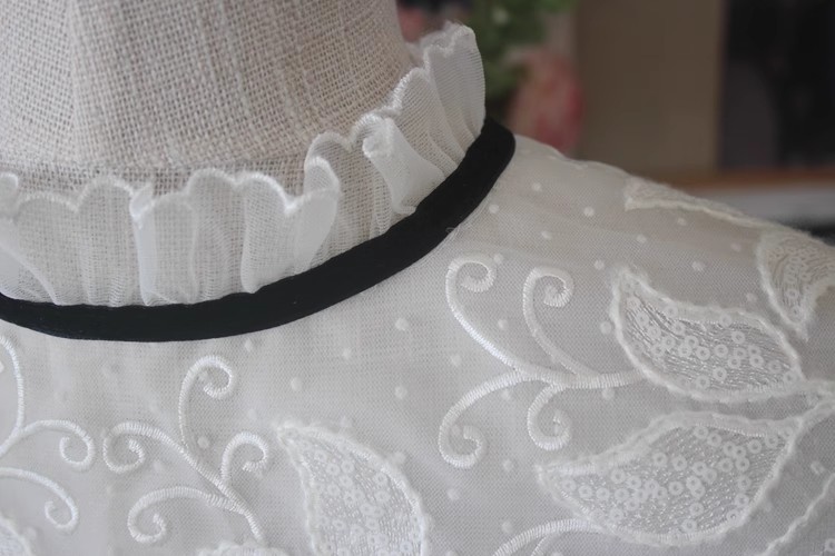 Embroidery Eyelet Cotton Lace Collar Fabric EF0035-Lace Fabric Shop
