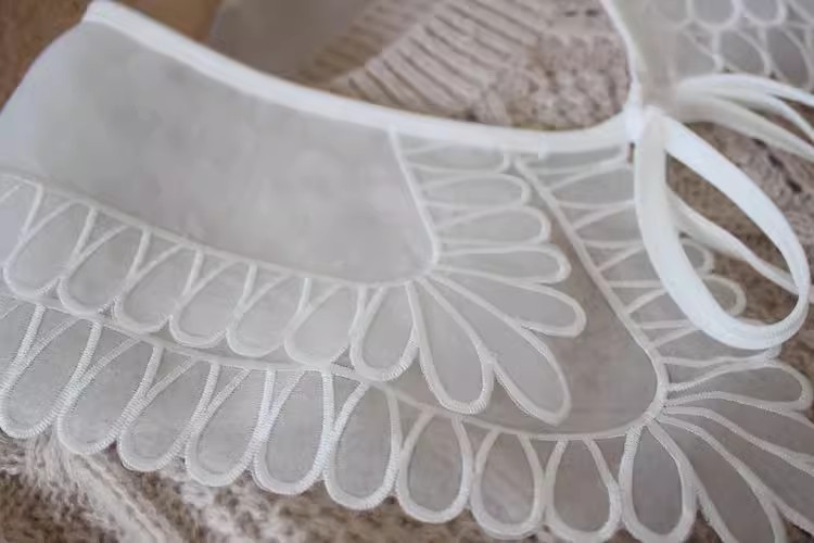 Embroidery White Black Collar Eyelet Fabric EF0082-Lace Fabric Shop