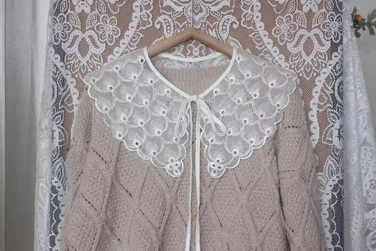 White Embroidery DIY Collar Eyelet Fabrics EF0058-Lace Fabric Shop