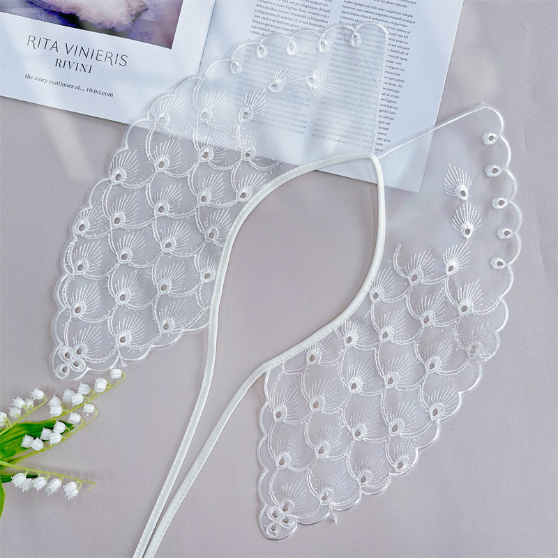 White Embroidery DIY Collar Eyelet Fabrics EF0058-Lace Fabric Shop