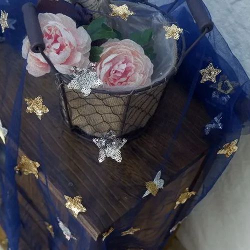 Sequins Embroidery Tulle Width 155cm TF0038-Lace Fabric Shop