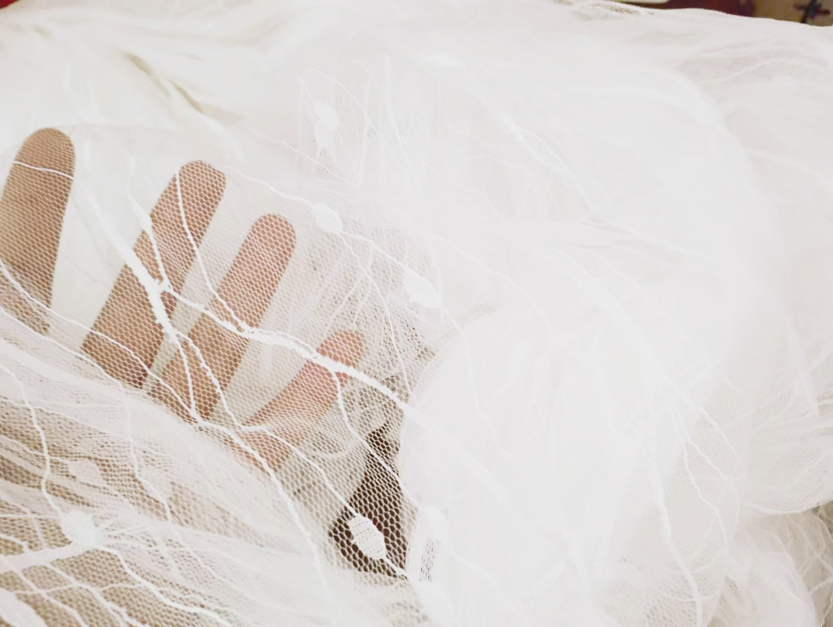 Where to Buy Mesh Fabric Explore Stunning Tulle Designs at