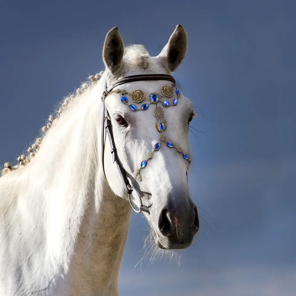 Personalized Medieval Horse Tack Horse Face Jewelry Antique Bronze Show Bridle Browband with Birthstone and Initial Gift for Equestrian