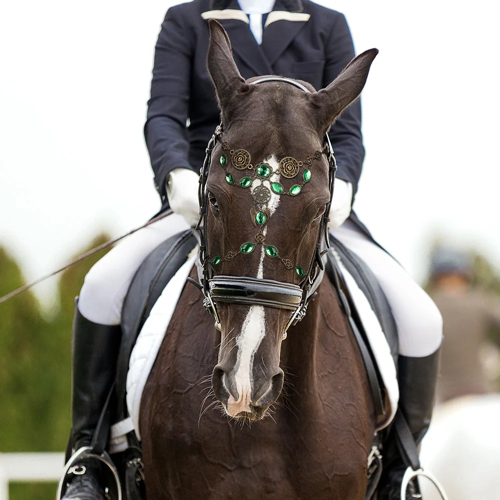 Personalized Medieval Horse Tack Horse Face Jewelry Antique Bronze Show Bridle Browband with Birthstone and Initial Gift for Equestrian