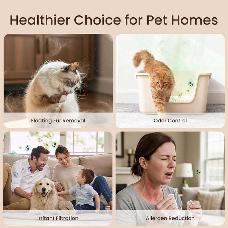 🔥2026 SALE - Home Pet Fur & Odor Removal Magic Box